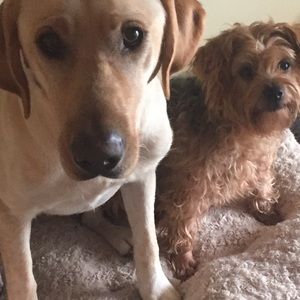 Meet your Posher, Marta